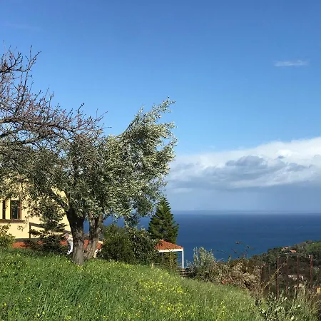 Casa Delle Palme Appartamento