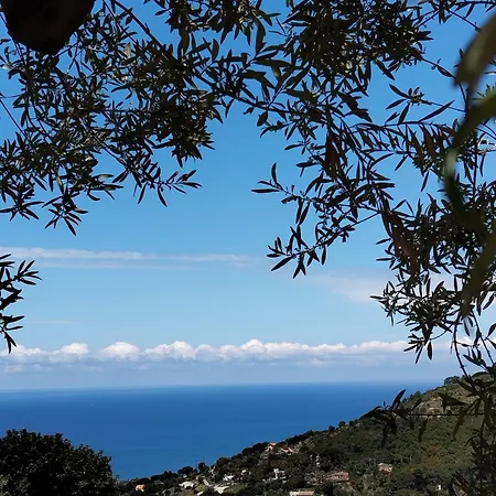 Appartamento Casa Delle Palme *