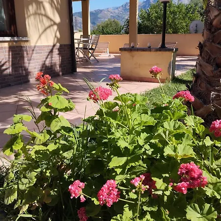 Casa Delle Palme Appartement